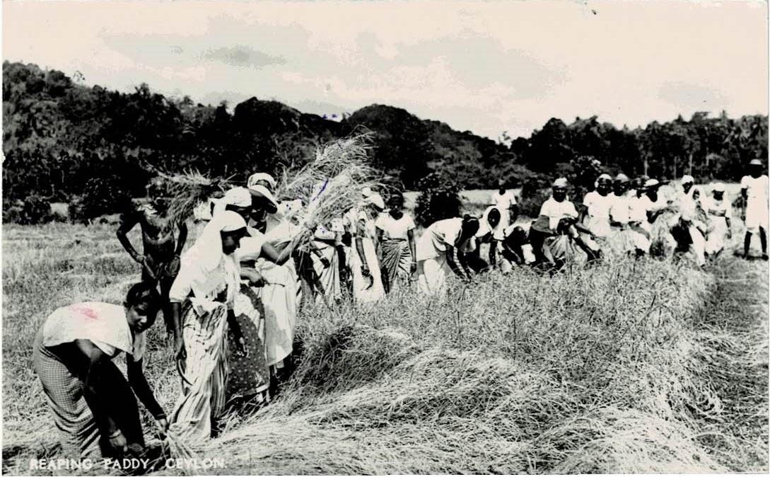 Ceylon