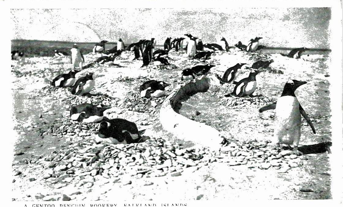 Falkland Islands