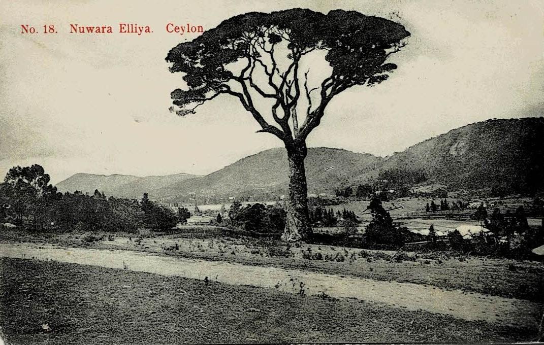 Malaya