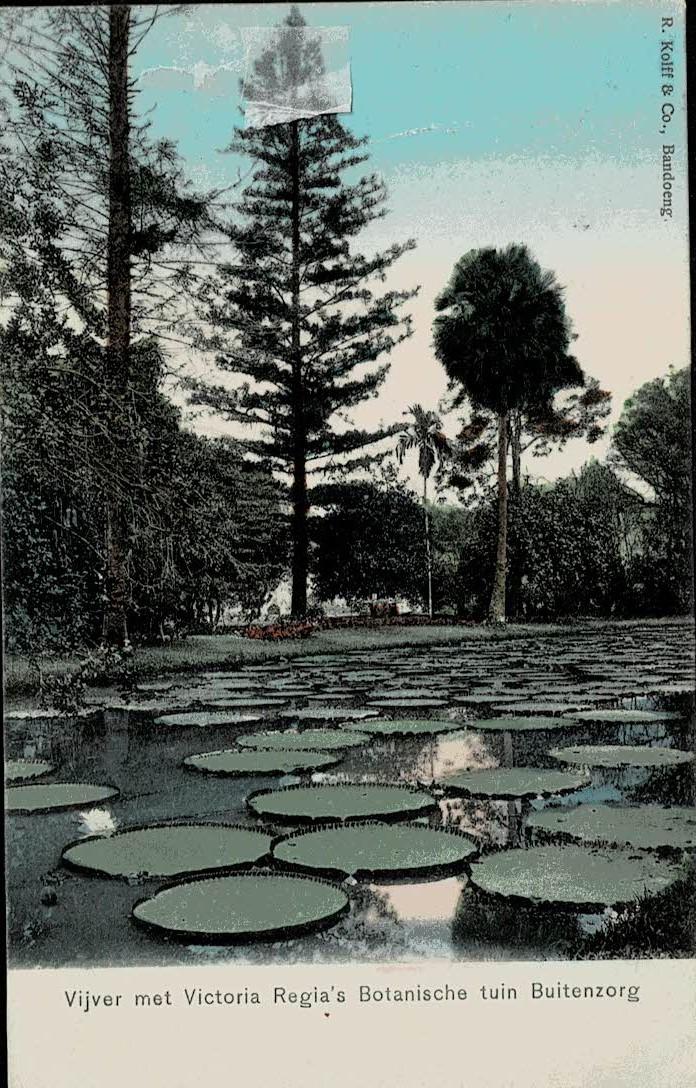 NETHERLANDS EAST INDIES