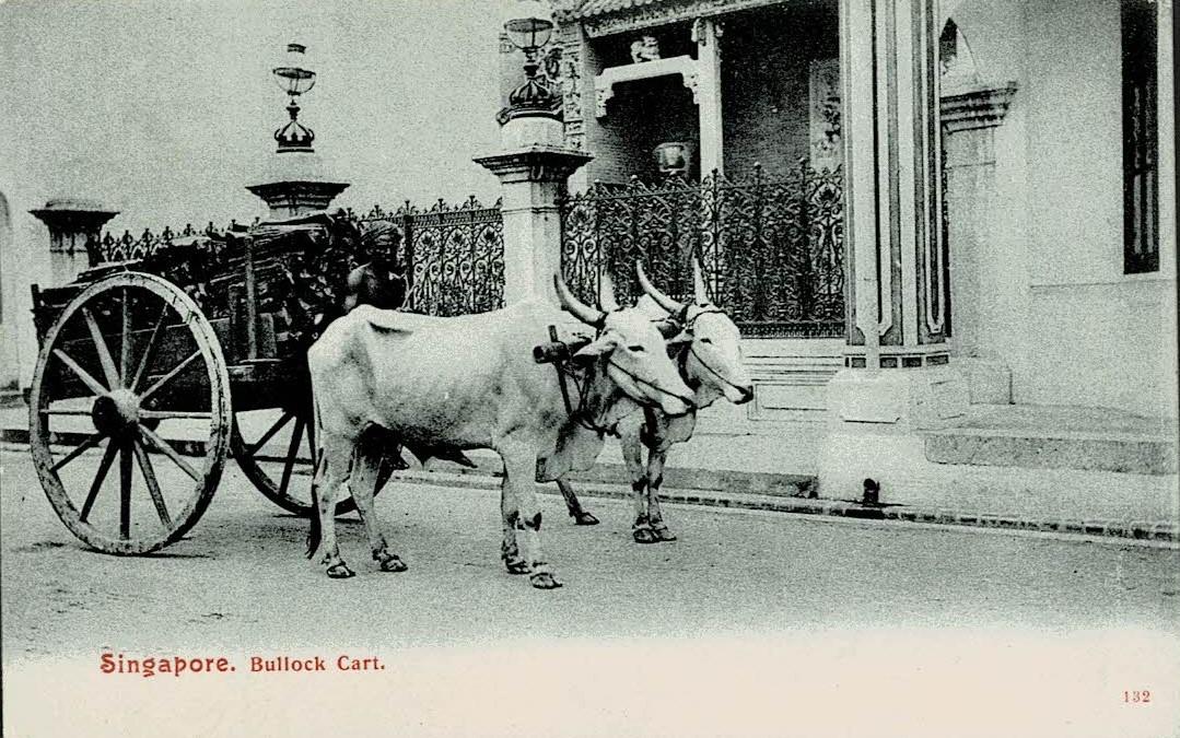Malaya