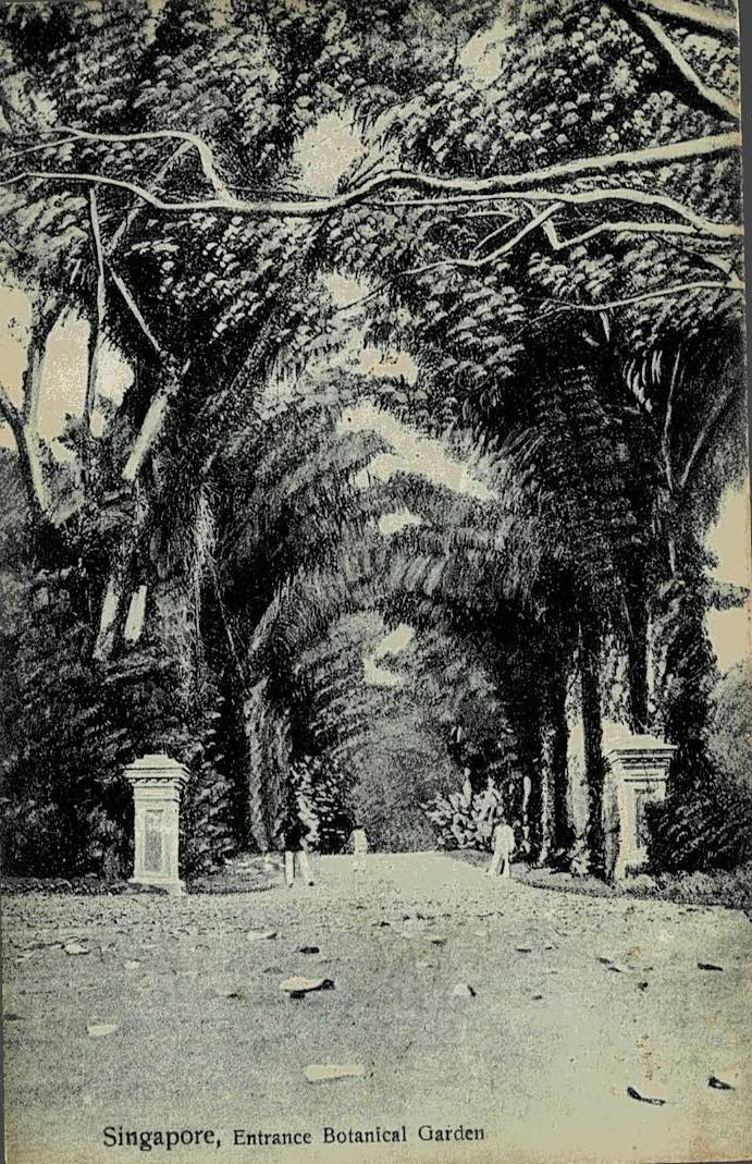 Malaya