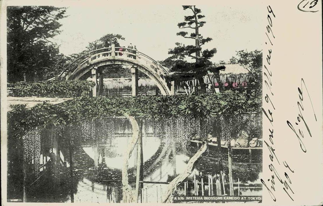 Malaya