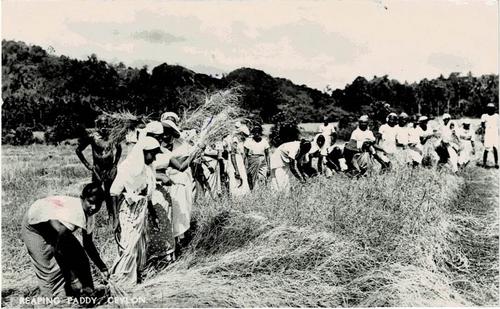 Ceylon
