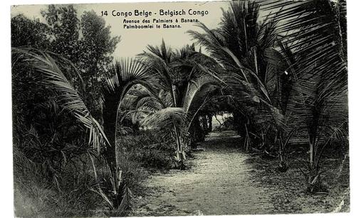 Belgian Congo