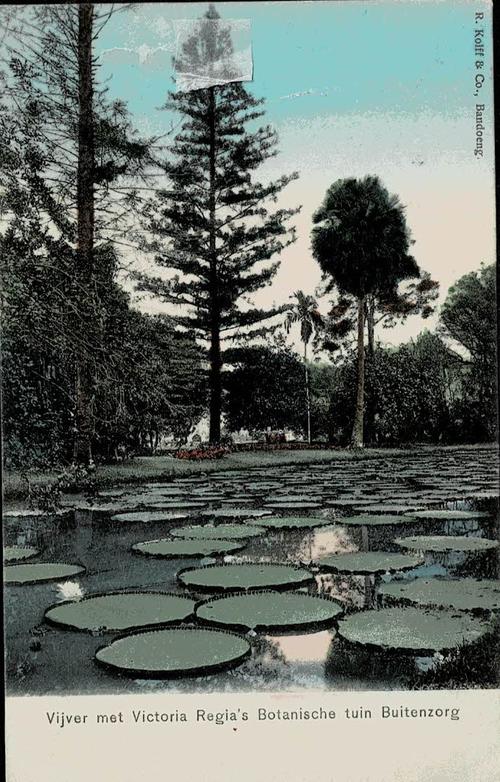 NETHERLANDS EAST INDIES