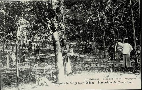 Malaya