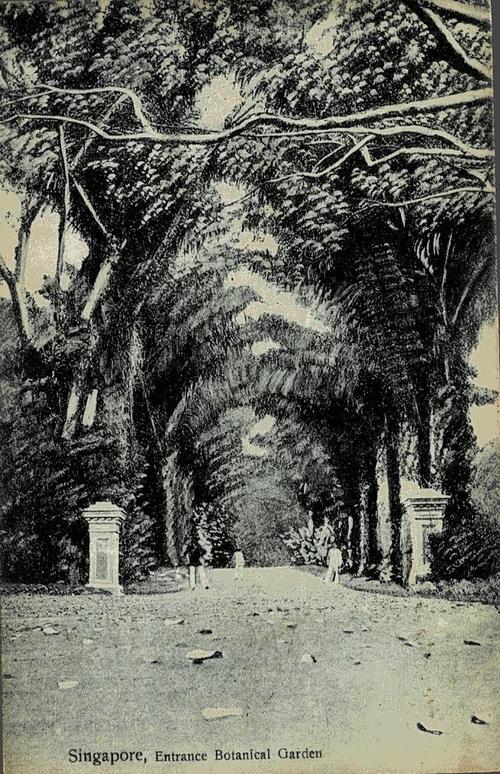 Malaya