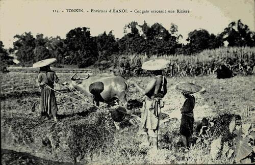 China. (French Indo-China)